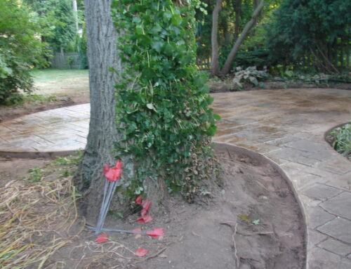 Common Decorative Concrete Patio Mistakes and How Our Team Avoids Them